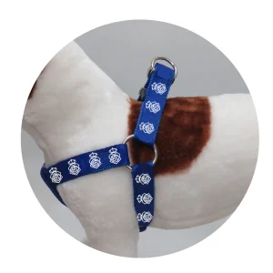 ARNÉS PARA PERRO